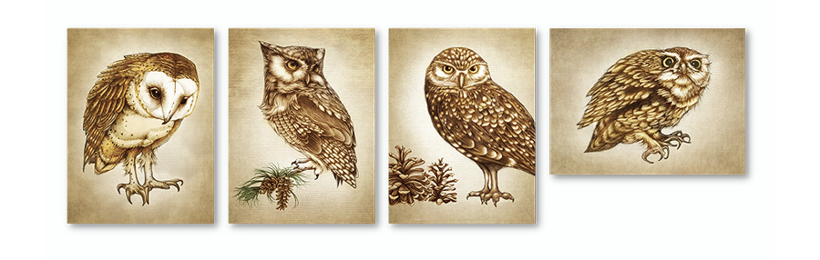lzd-cards-owl-900