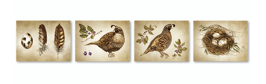 lzd-cards-quail-900